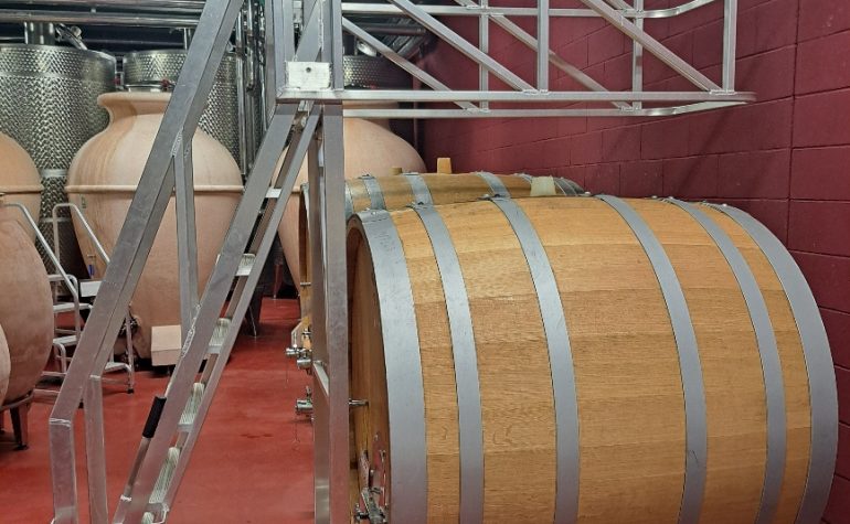 SCALA PER ACCESSO A BOTTI CON RING DI PROTEZIONE