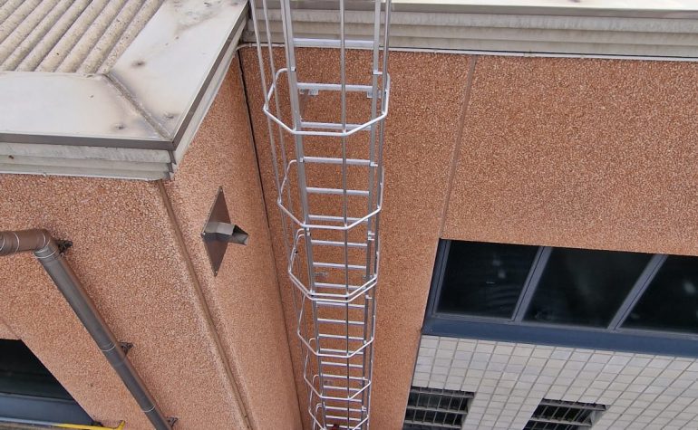 GABBIA ladder with safety cage